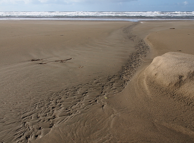 [A series of squiggly depressions approximately two feet wide lead to the ocean on the horizon.]